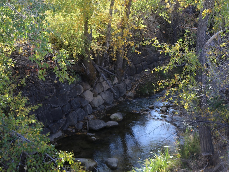 View of tree filled area