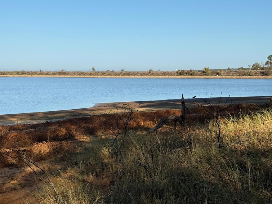 L9631 Cr 467, Etoile, TX 75944 - photo 1