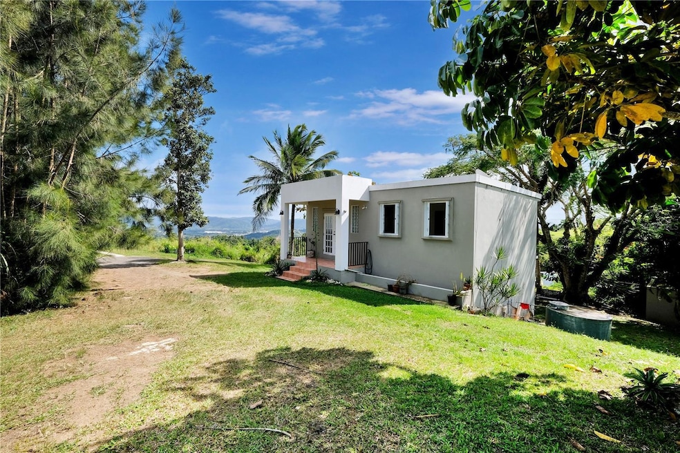 729 Calle Los Robles, Cidra, PR 00739 - photo 1