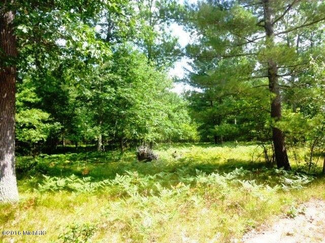 2750 W 14 Mile Rd unit Parcel C, Lilley Township, MI 49309 - photo 1