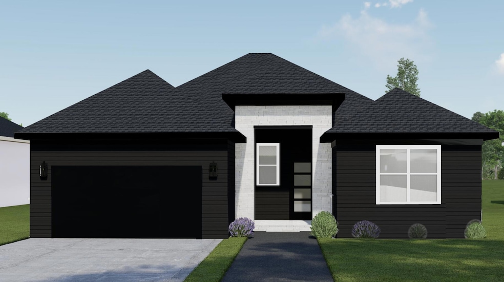 Tampa Transitional