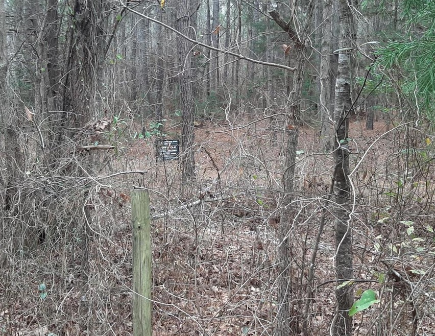 4.46 acres Hwy 49