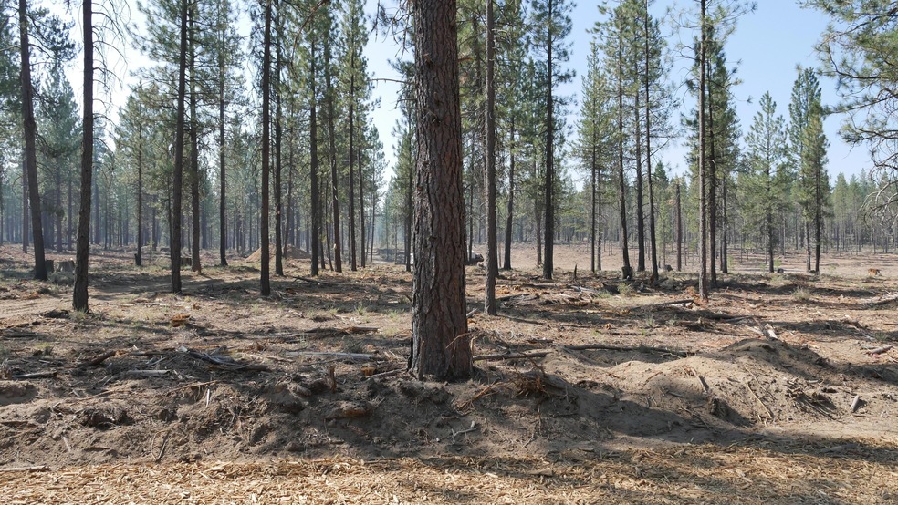 Front of homesite