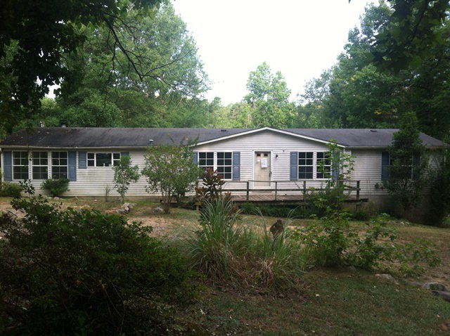 Main View