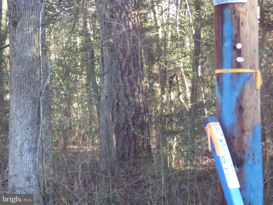 0 Azure Dr unit VAWE115826, Colonial Beach, VA 22443 - photo 1