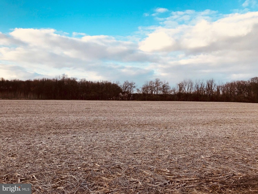 0 Bayline Ave unit MDCC158258, Warwick, MD 21912 - photo 1