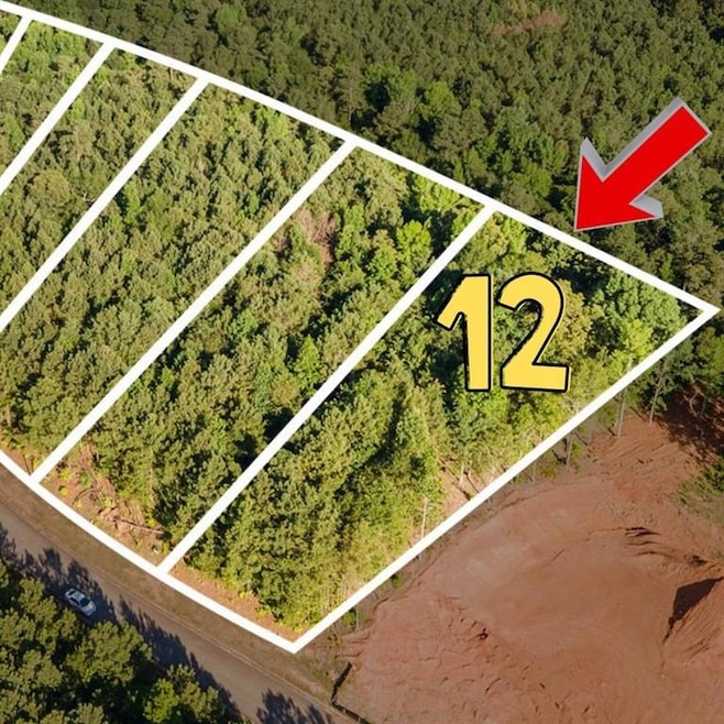 Bird's eye view with a wooded view