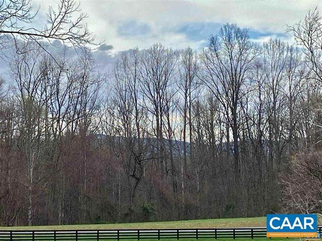 Lot 53 Hemlock Creek Ct, White Hall, VA 22936 - photo 1