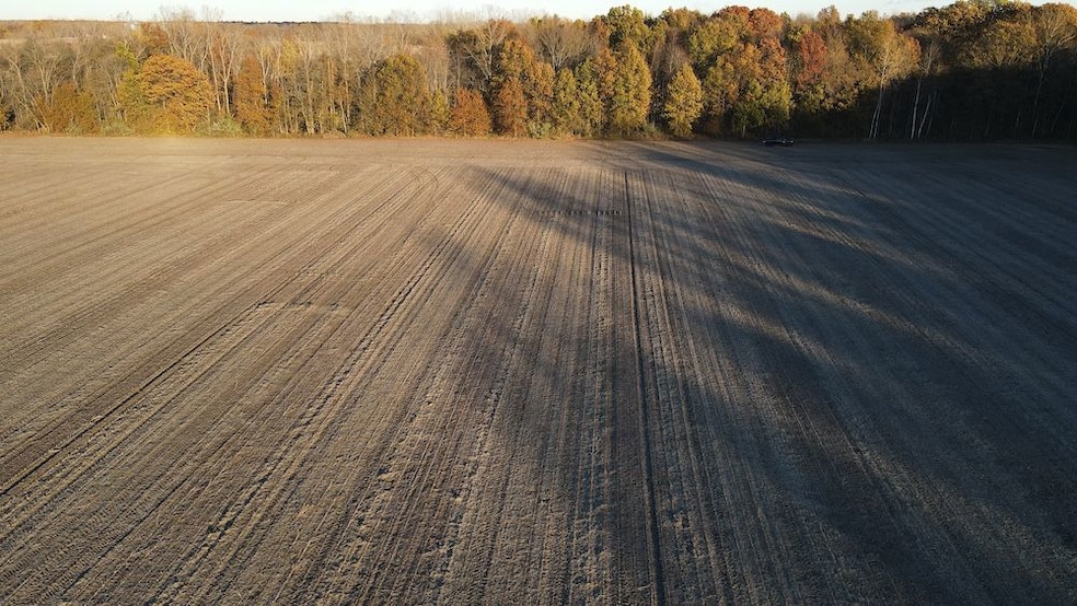 W Birch Run Rd, Burt, MI 48417 - photo 1