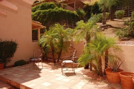 13227 N Mimosa - backyard