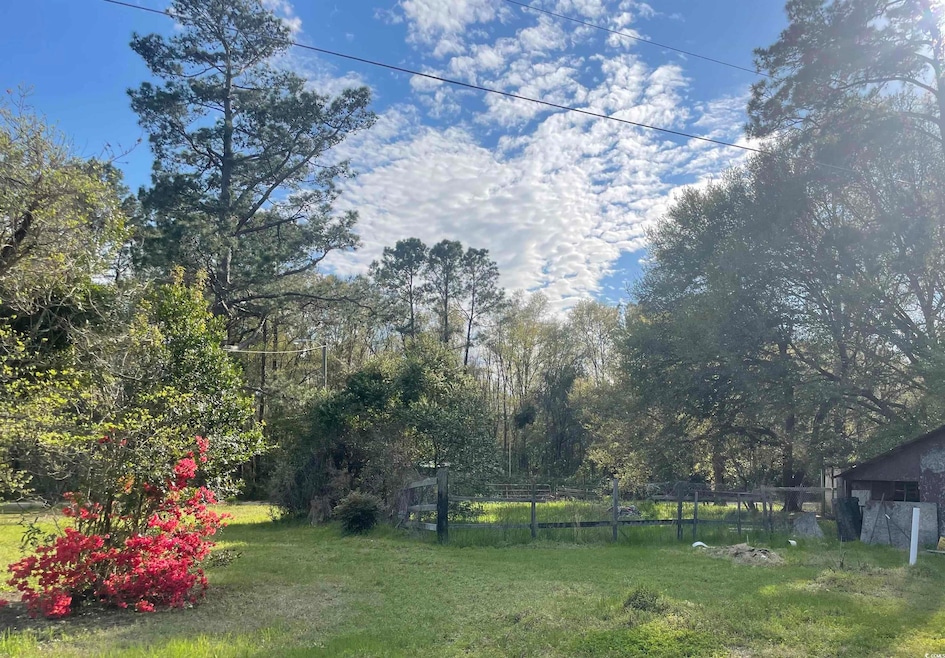 TBD County Road S-45-415, Kingstree, SC 29556 - photo 1