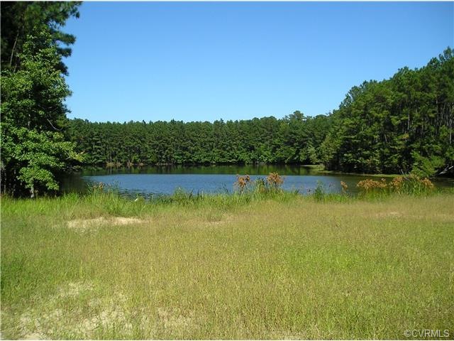 View from your Deck to enjoy the waterfowl flying 