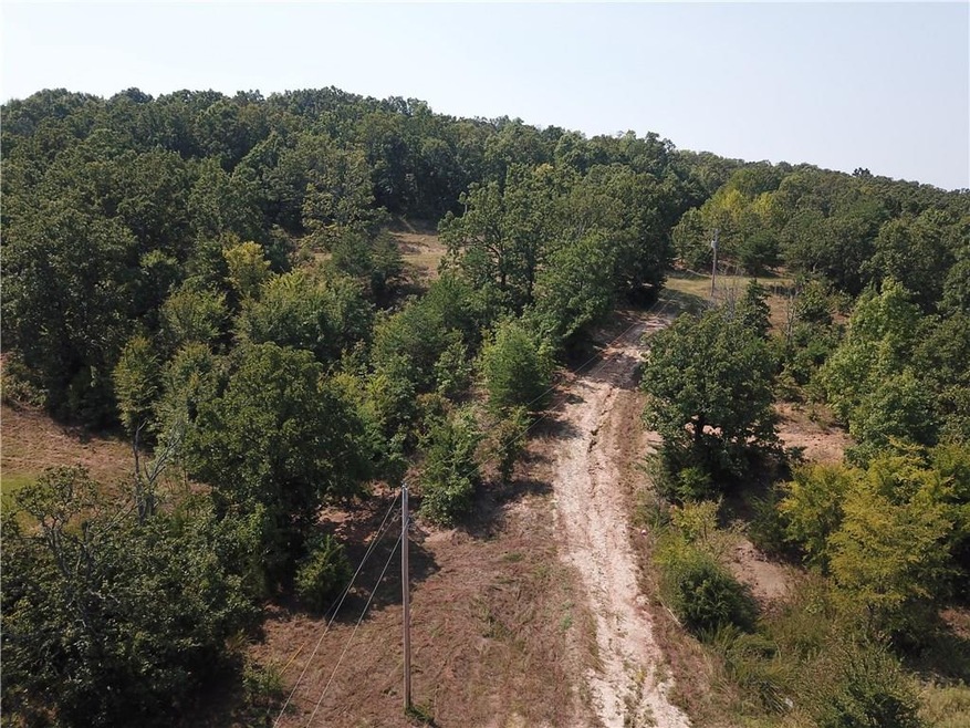 0 Butler Rd unit 1068047, Prairie Grove, AR 72753 - photo 1