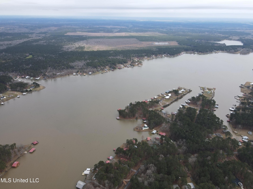 0 Pine Tree Rd unit 4107804, Pachuta, MS 39347 - photo 1
