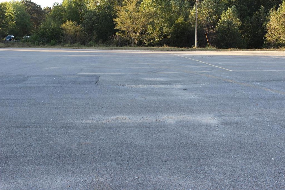 11661 Highway 641 S, Springville, TN 38256 - photo 1