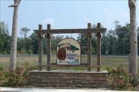 115 Amy Ln, Crawfordville, FL 32327 - photo 1