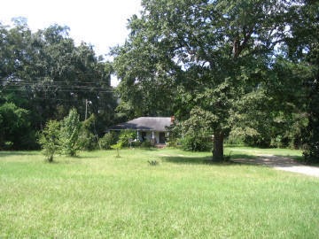 Primary Photo