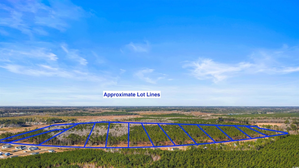 19.09 Acs Cates Bay Hwy unit Lot 11, Conway, SC 29527 - photo 1
