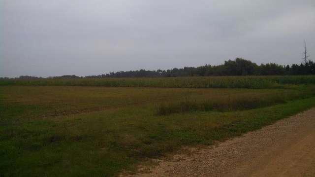 xxx Short Cut Rd, Pleasant Hill Township, MN 55925 - photo 1