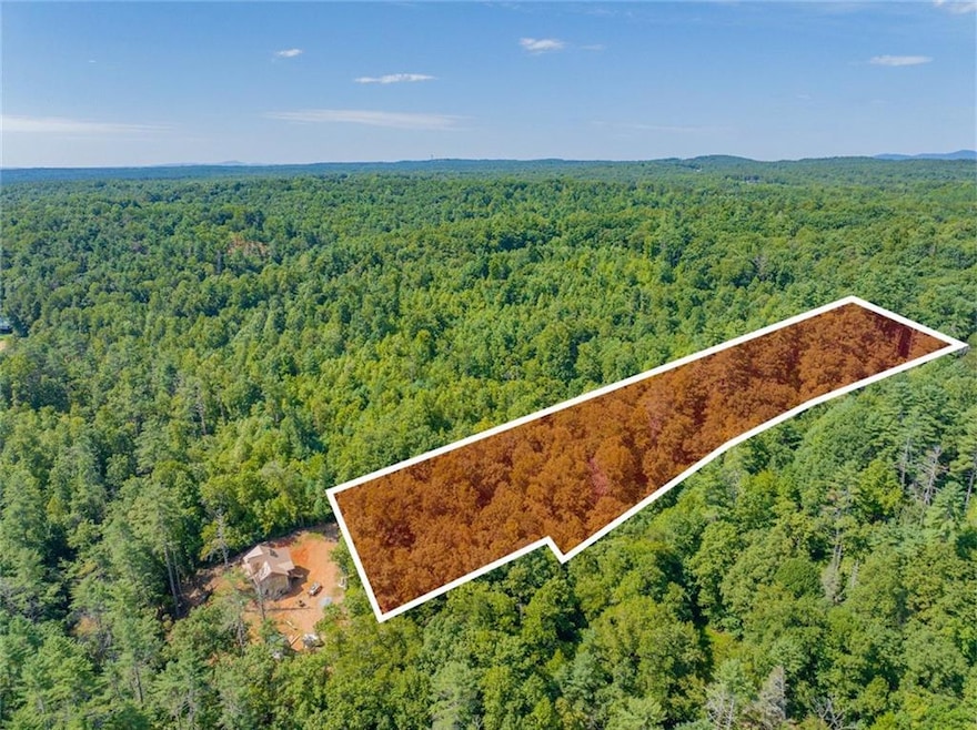 Aerial View with Lot 46 outlines