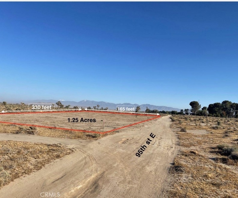 0 95th St E unit CV23094479, Lancaster, CA 93535 - photo 1