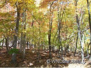 Lot 166 Walnut Dr.