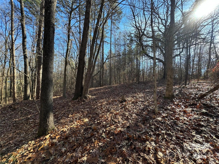 Gently sloping lot with mature trees in Mint Hill with City Water availability and septic needed