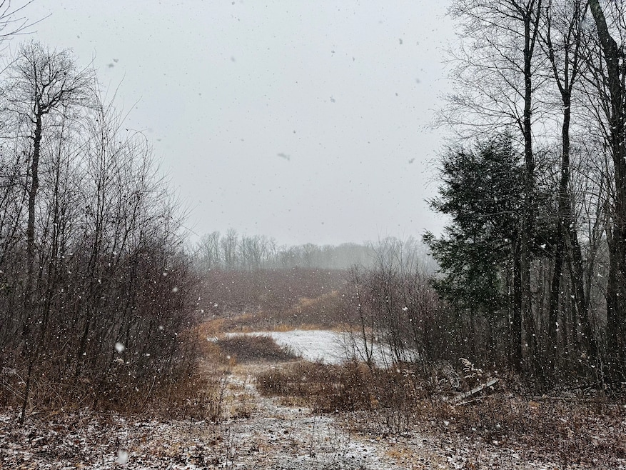 For Sale $525,000 • Co-Listing Agent