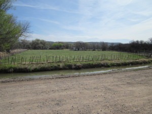 peterson rd 001