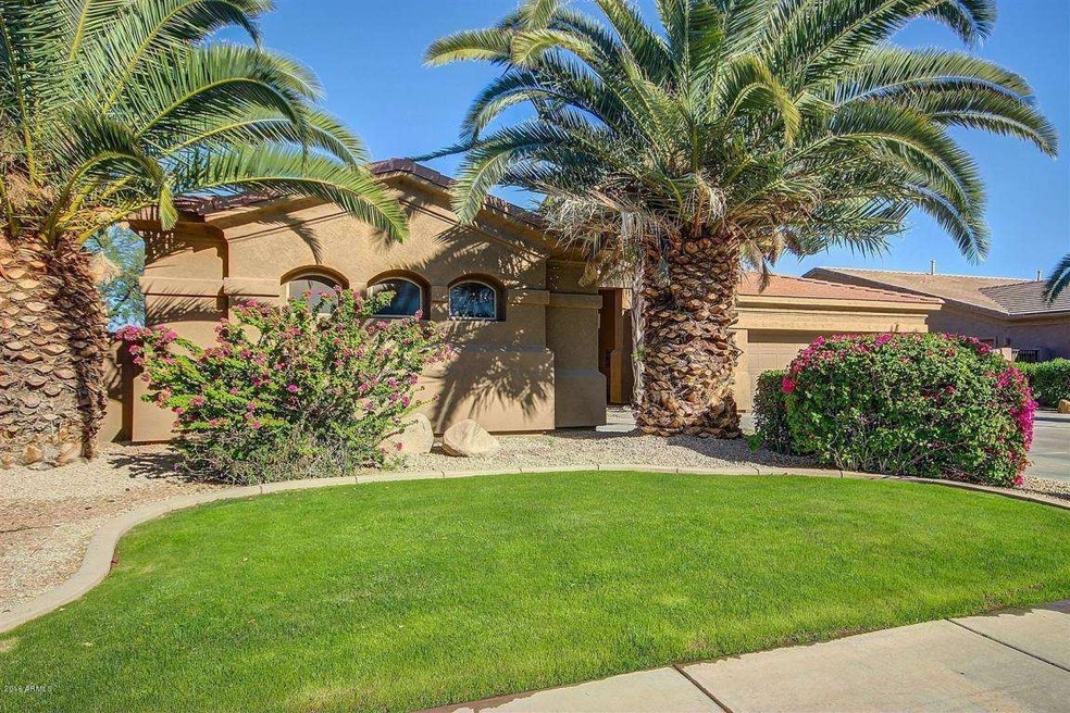 0004-Curb Appeal Grass Front