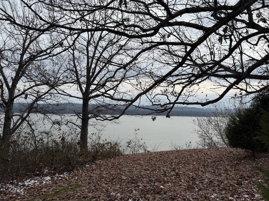 602 Raum Park Dr, Golconda, IL 62938 - photo 1