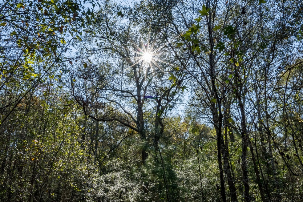 1011 Hunters Creek Way, Hockley, TX 77447 - photo 1