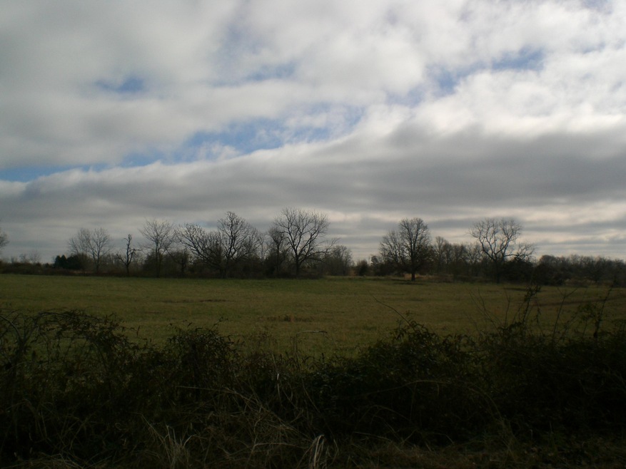 2006-01-12 21.47.14