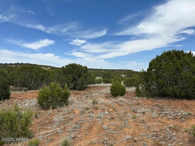50 County Rd, Concho, AZ 85924 - photo 1