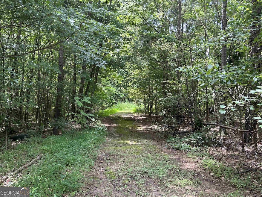 4923 Amsler Rd, Ellenwood, GA 30294 - photo 1