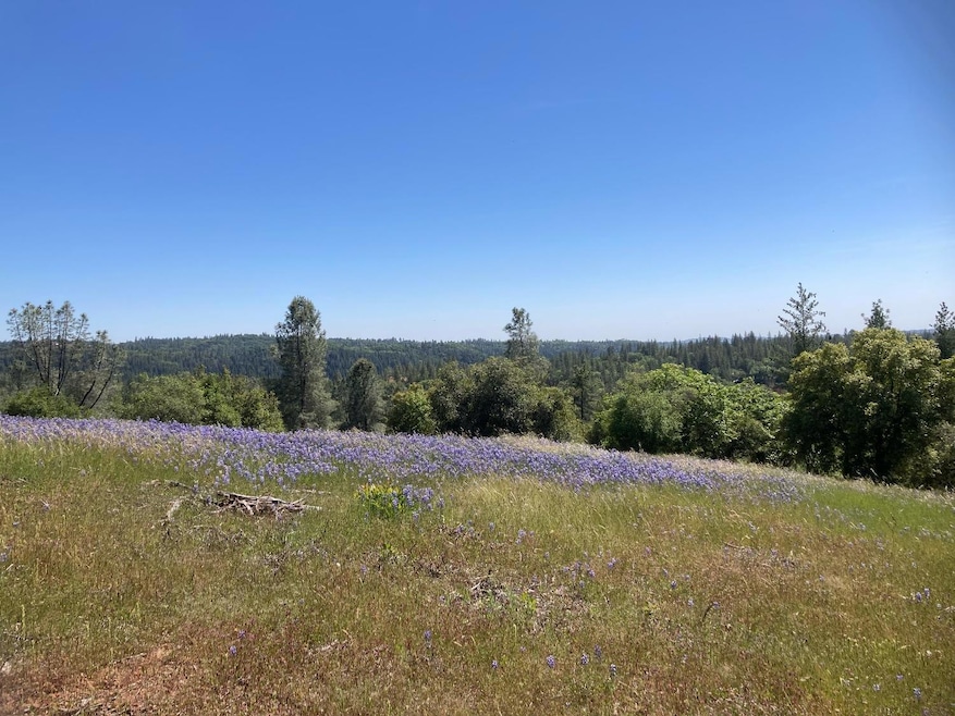 16688 Sonshine Ln, Sutter Creek, CA 95685 - photo 1