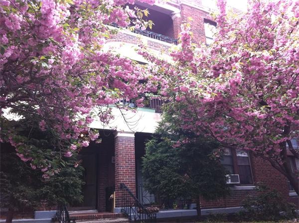 317 Summit Ave unit 8, Brighton, MA 02135 - photo 1