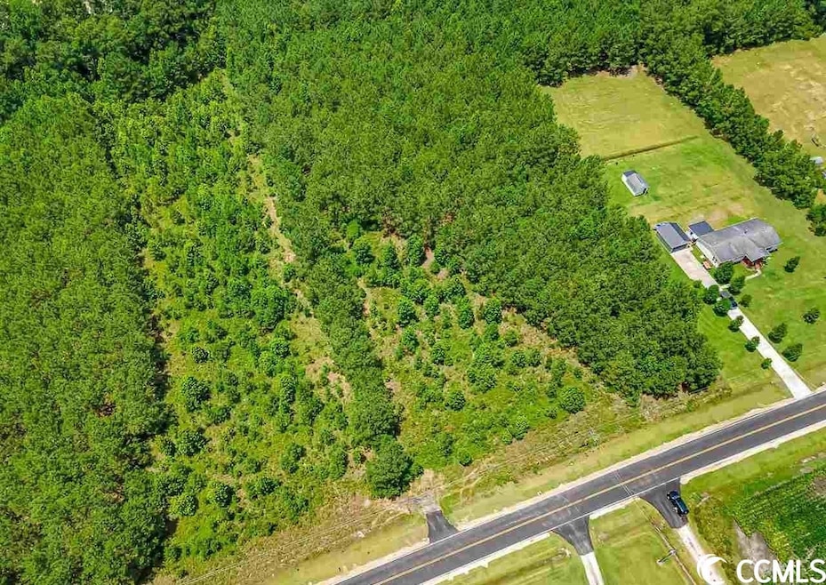 TBD Jasmine Rd, Loris, SC 29569 - photo 1