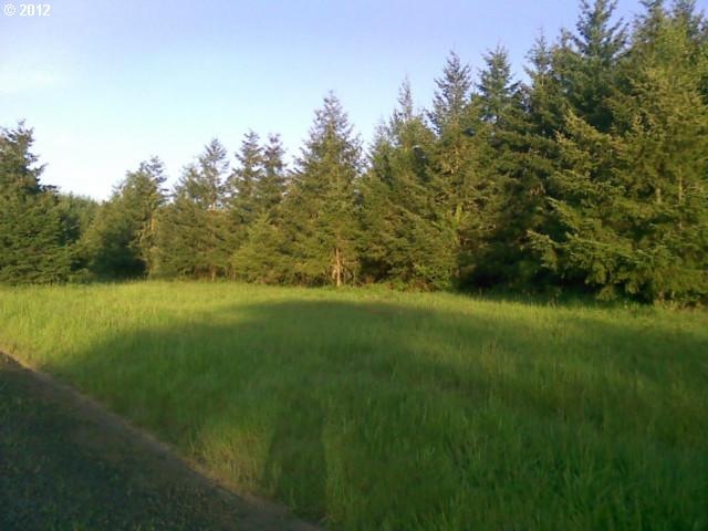 0 Savage Rd unit 13490957, Sheridan, OR 97378 - photo 1