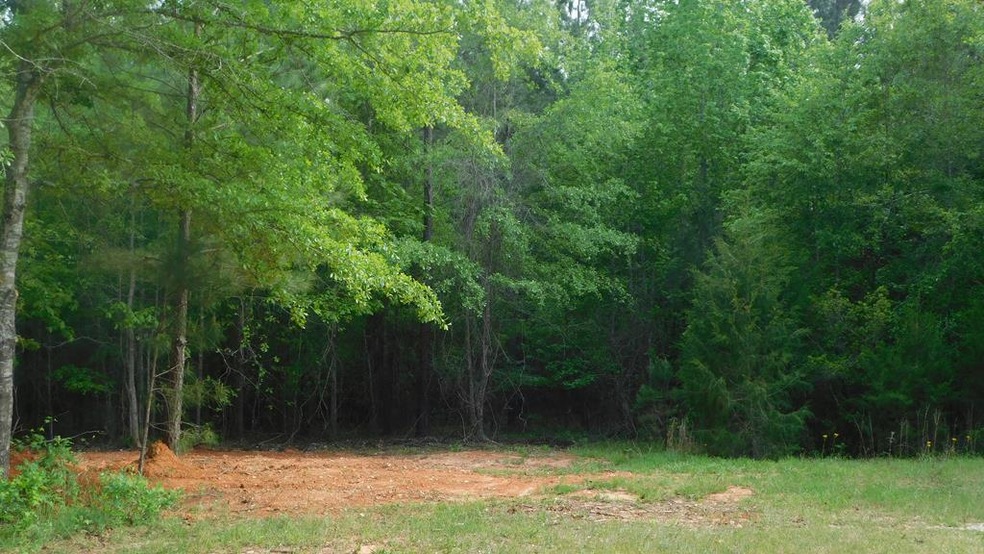 2112 Loco Church Rd, Lincolnton, GA 30817 - photo 1