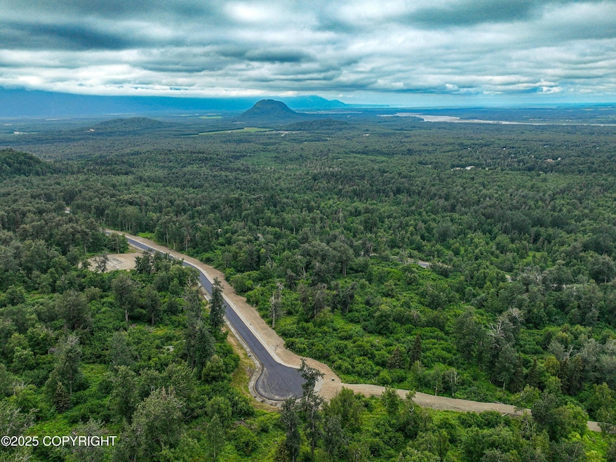 366 N Hale Cir, Butte, AK 99645 - photo 1