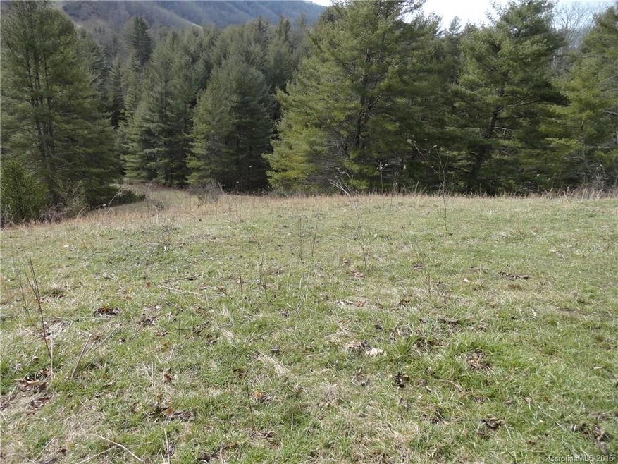 000 Possum Trot Rd, Burnsville, NC 28714 - photo 1