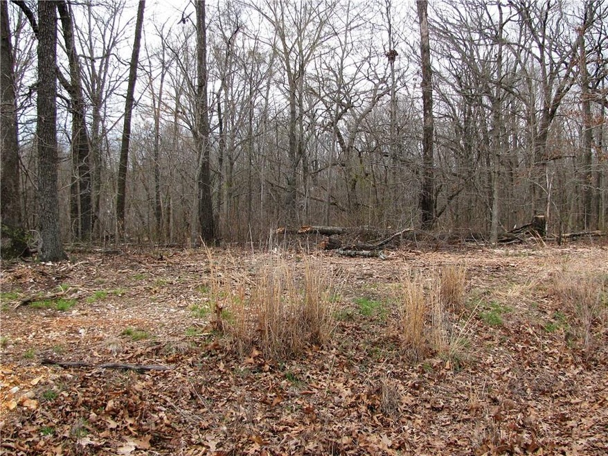 0 Leland Ln unit 1076820, Bella Vista, AR 72715 - photo 1