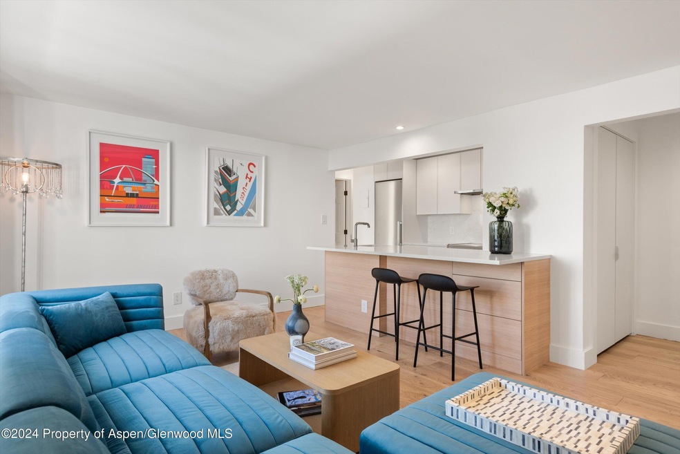 119 E Cooper Ave unit 26, Aspen, CO 81611 - photo 1