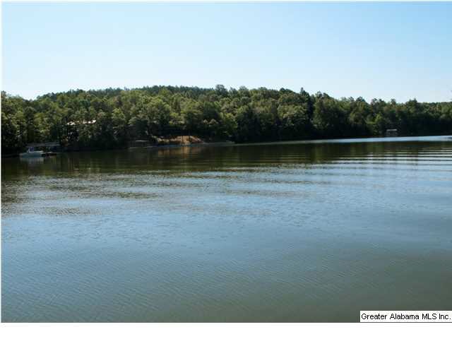 Lot #5 Wedowee Creek View