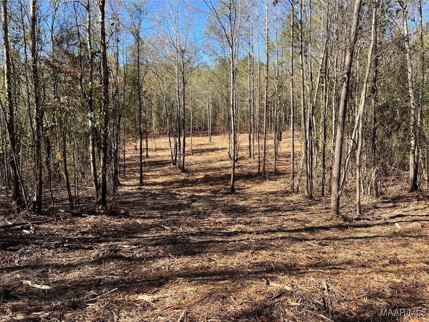 Sold $59,000 • Co-Listing Agent