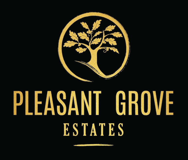 10150 Pleasant Grove School Rd, Elk Grove, CA 95624 - photo 1