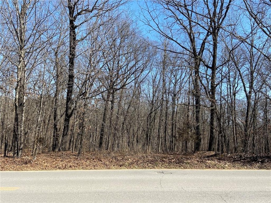 Lot 2 E Bonnie Cir, Bella Vista, AR 72715 - photo 1
