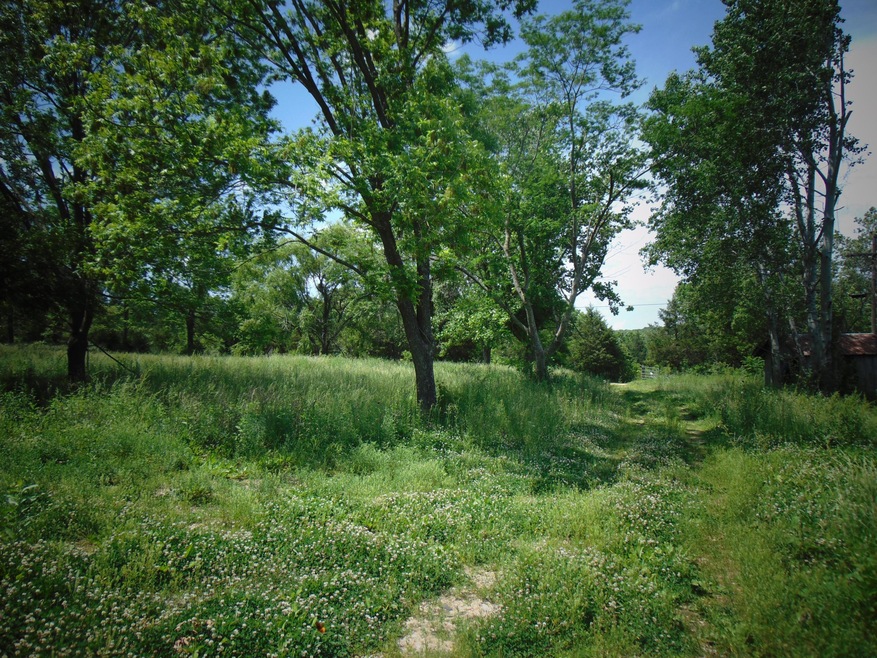 Farm1
