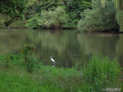 unlisted-address, Bayside, NY 11361 - photo 1